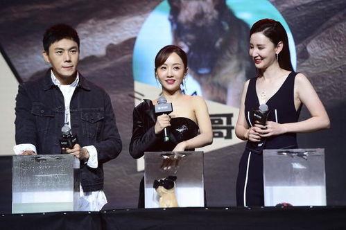 娱乐圈吃瓜大队合集百度云,吃瓜大队合集深度解析